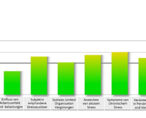 DNLA_Stresslevelanalyse_URBAN BRAUN Coaching GmbH