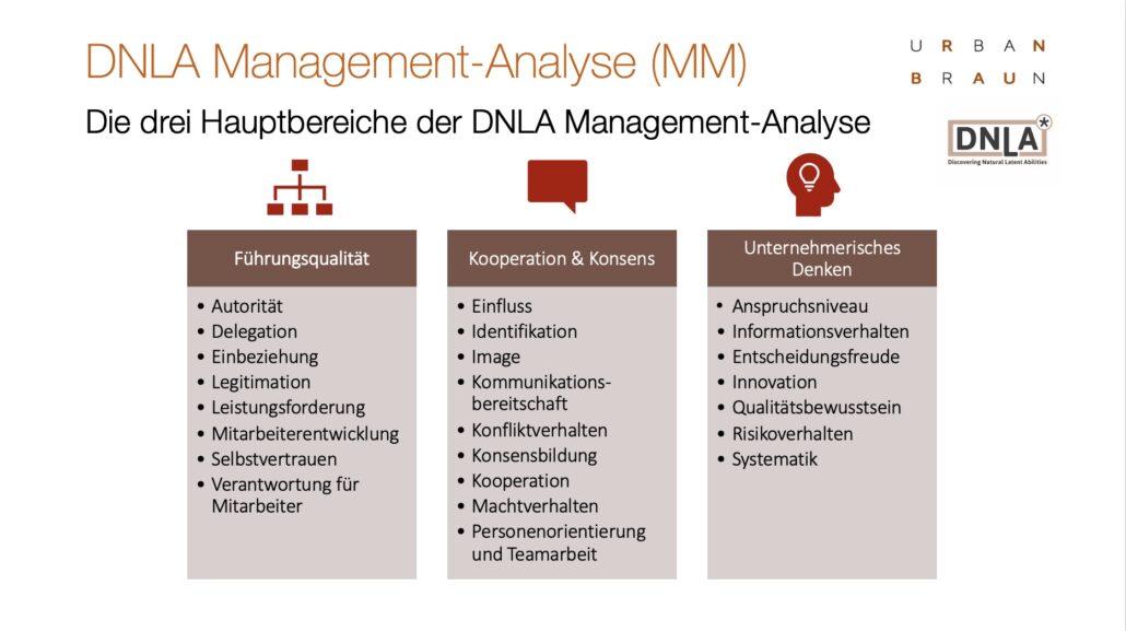 Grafik_DNLA Management Analyse MM